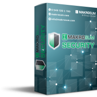 RDP Brute Force Security